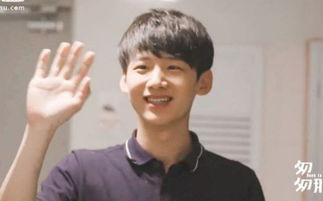 记者爆料白敬亭视频在线观看,在线观看引热议