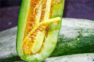 网红吃瓜免费入口在哪里,独家攻略大公开