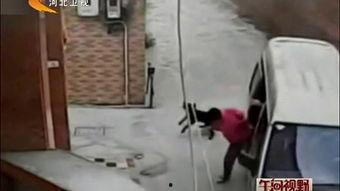 最新偷鱼爆料事件新闻,揭秘网络爆料背后的真相与争议