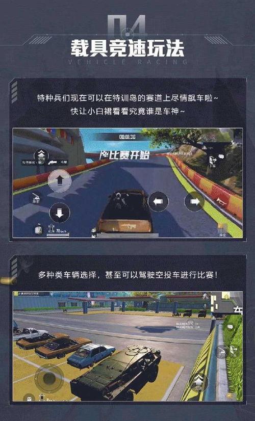 和平精英最新爆料大全,揭秘游戏新内容与玩法革新