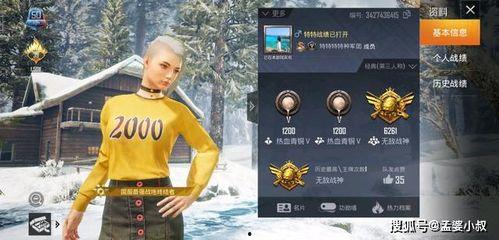 吃鸡爆料人物是谁啊视频,视频背后的神秘面纱