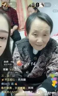 仙家八卦爆料视频大全,视频大全背后的神秘世界