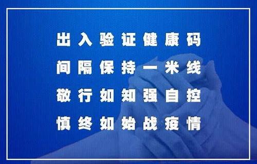 丽水新闻热线电话爆料,惊现神秘事件，真相即将揭晓！