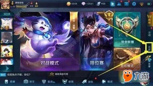 王者周年庆全部爆料视频