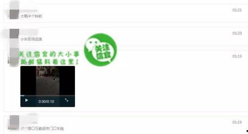 网络上爆料视频在哪看,一网打尽热门爆料内容