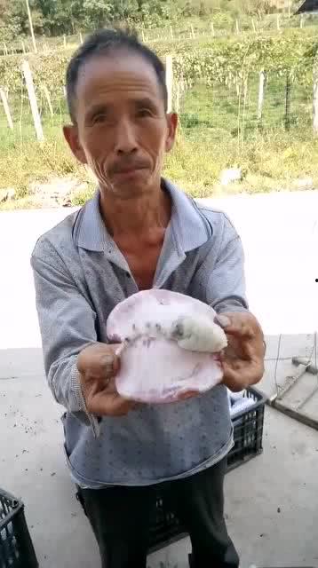 九零后吃瓜大叔是谁啊免费阅读,网络红人背后的故事