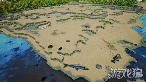 地下蚁国最新爆料,最新爆料揭示神秘蚁群世界