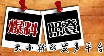 陕西当地新闻爆料网官网,聚焦本土热点，解码社会脉动