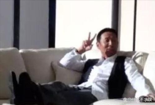 狗仔爆料陈道明视频,狗仔爆料背后真相揭秘