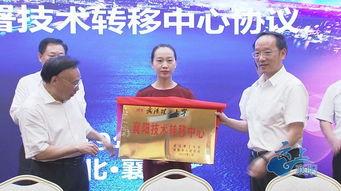 襄阳一中最新爆料消息,揭秘校园风云背后的故事